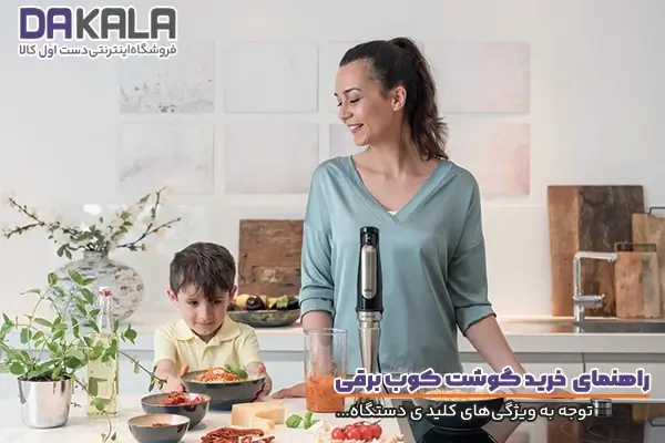 ویژگی های مهم گوشت کوب برقی